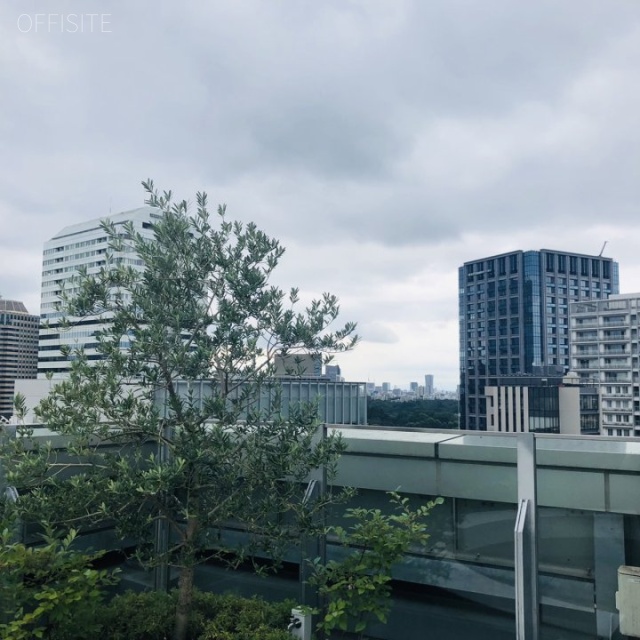 VORT麹町Ⅲ 屋上