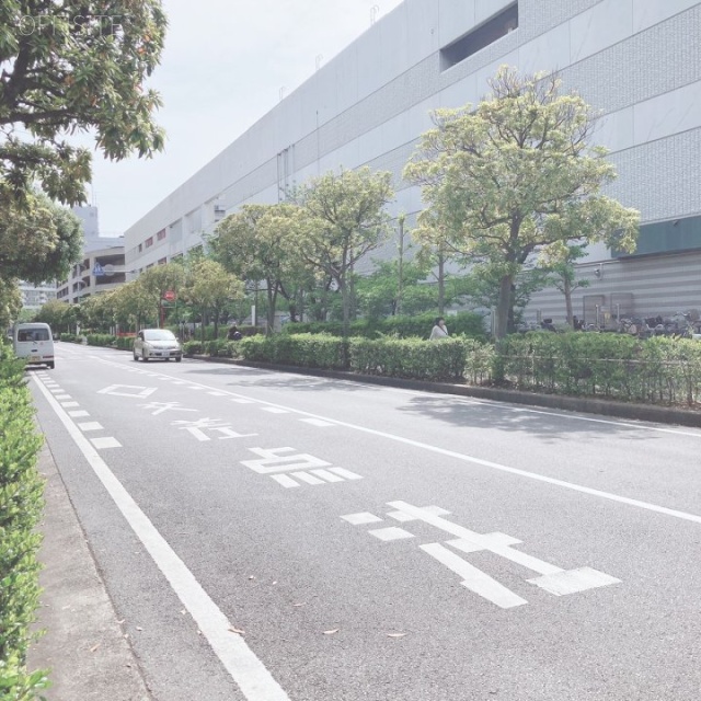 和紅(わこう)ビル ビル前面道路