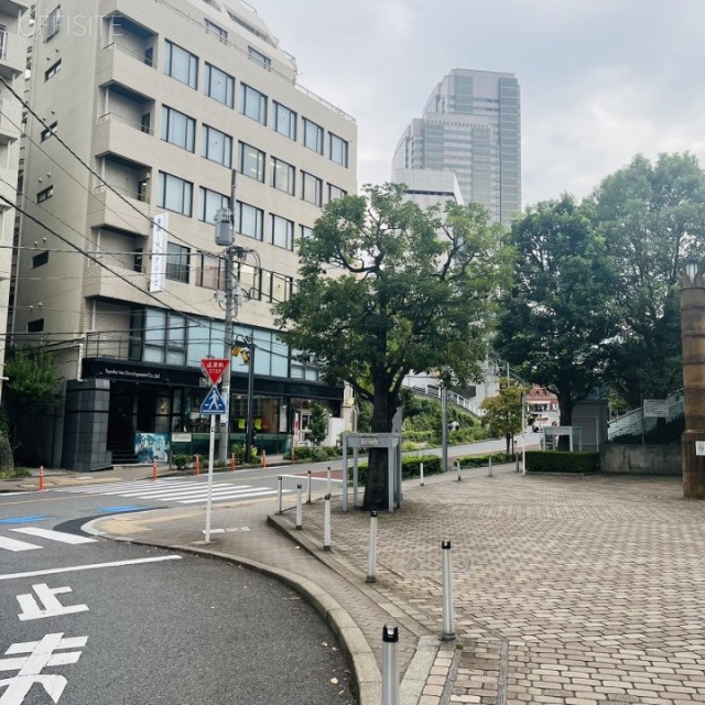 恵比寿ネオナートアネックス 前面道路
