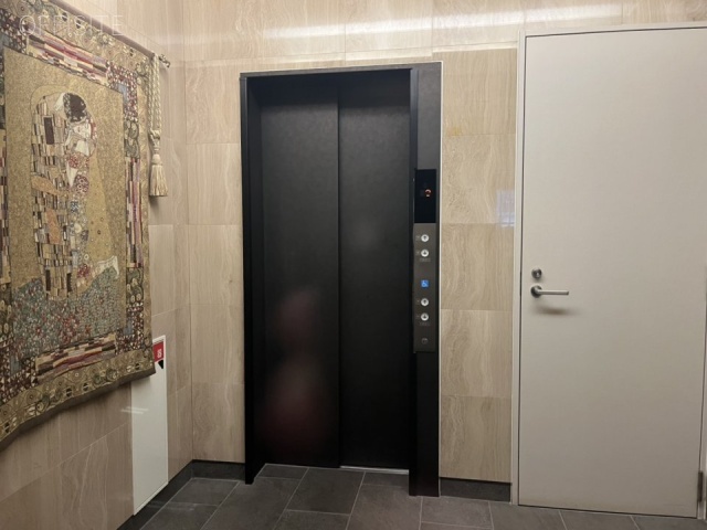 ダブル・リーブス半蔵門 エントランス