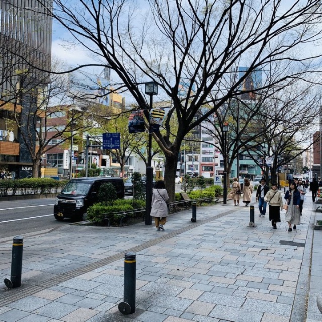 青山パラシオタワー(11階:サービスオフィス) ビル前面道路