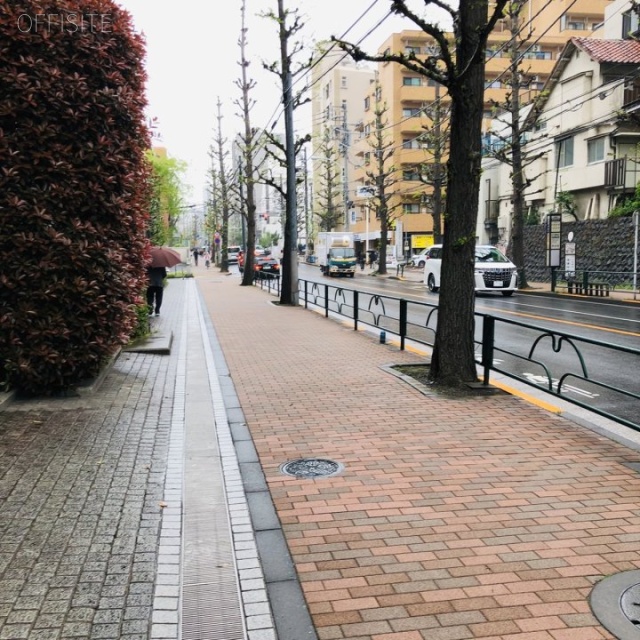 JMFビル笹塚01 ビル前面道路