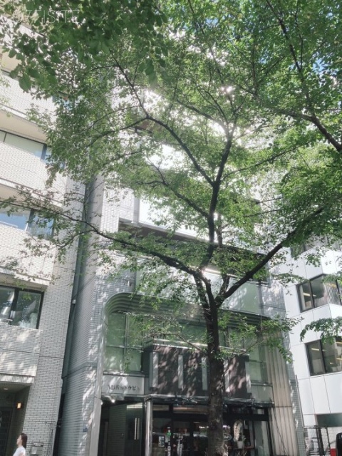 八重洲カトウビル 外観