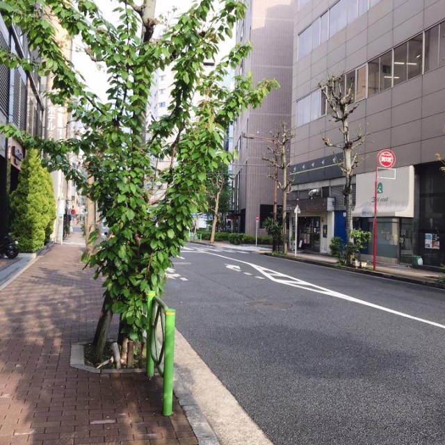 新富ミハマビル ビル前面道路