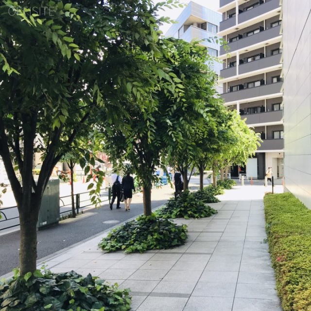 JRE代々木一丁目ビル ビル前面道路
