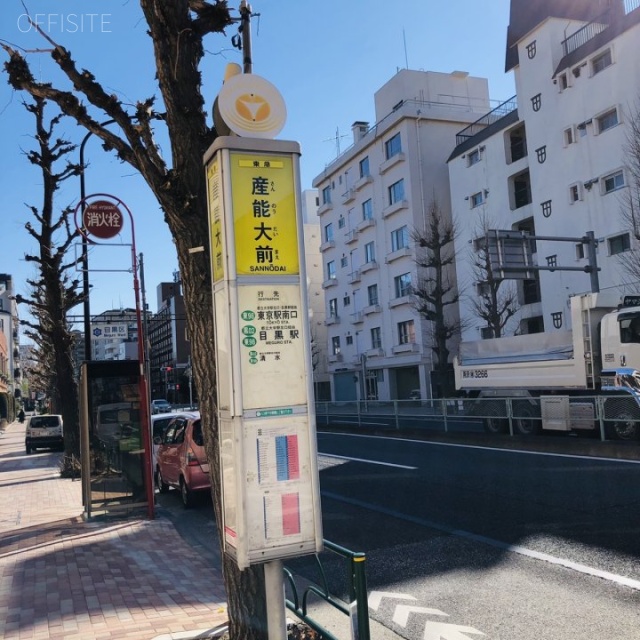 Palm Tree 自由が丘 周辺