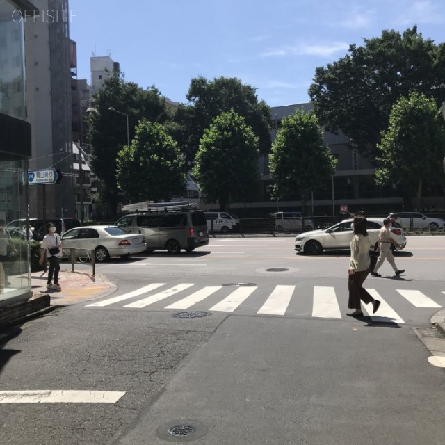 テラアシオス青山 ビル前面道路