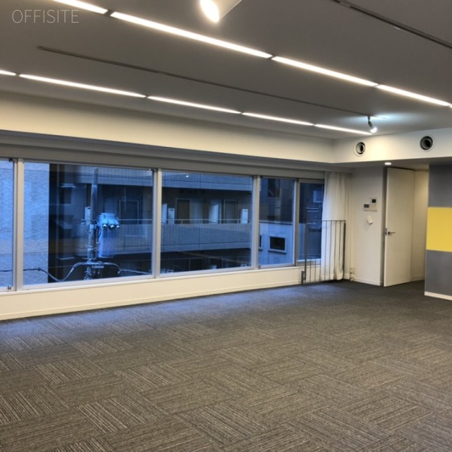 デュープレックス銀座タワー8/14 402号室 室内