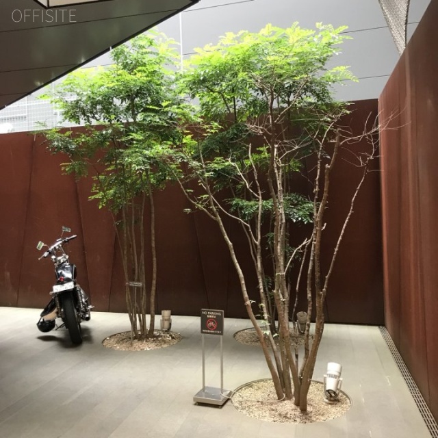 原宿神宮の森ビル エントランス