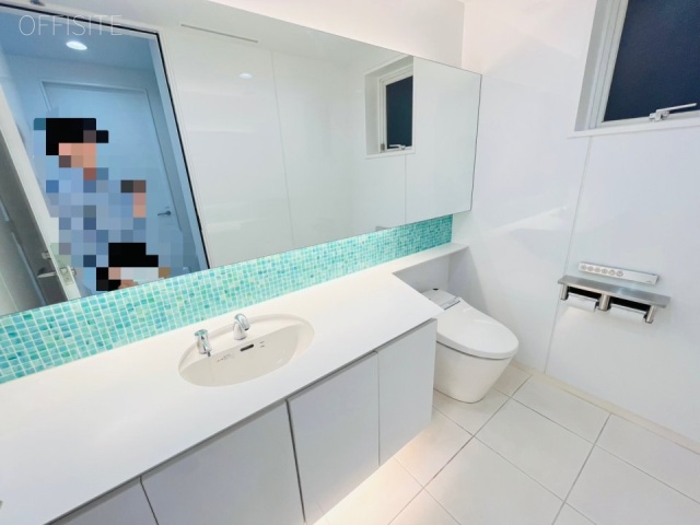 ACN芝プラザビル 洗面