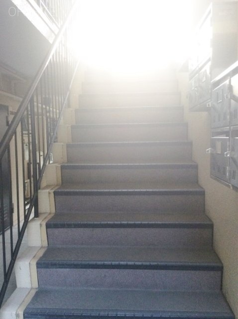 ハイツ太陽ビル 階段