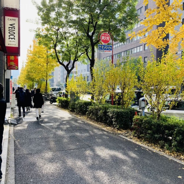 長友ランディックビル ビル前面道路