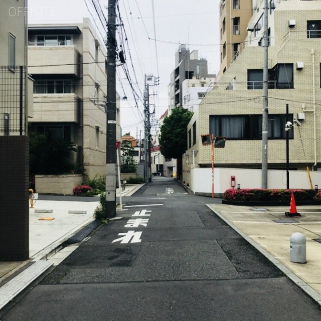 ワイズ松濤(しょうとう) ビル前面道路