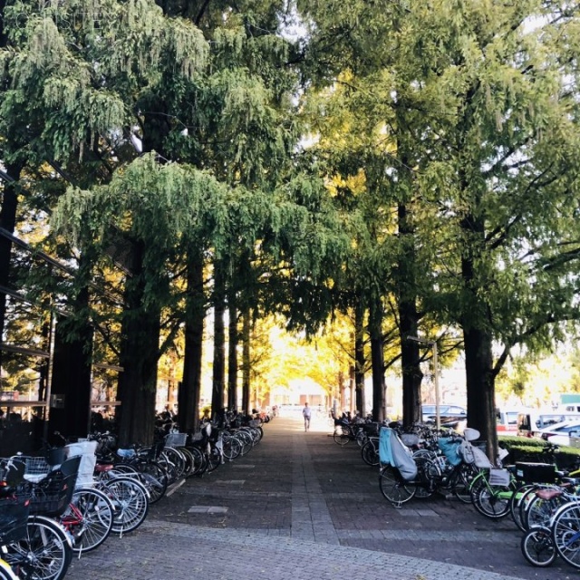 テクノポートカマタセンタービル本館 周辺