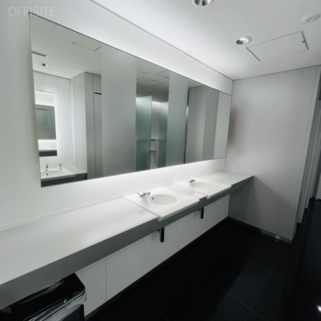 グラントウキョウサウスタワー トイレ洗面