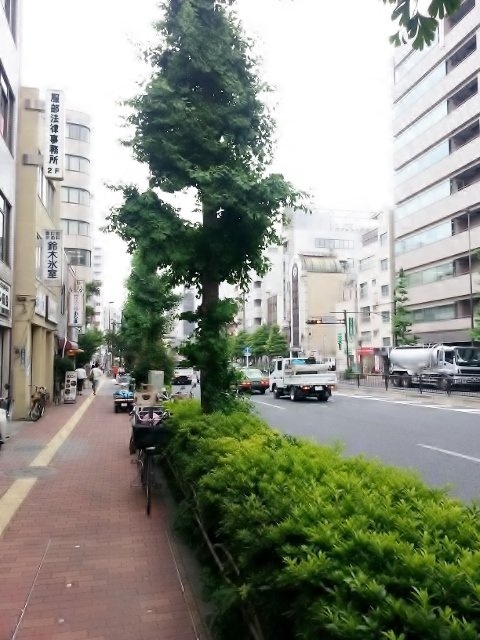 本郷4丁目ビル 126 (480640).jpg