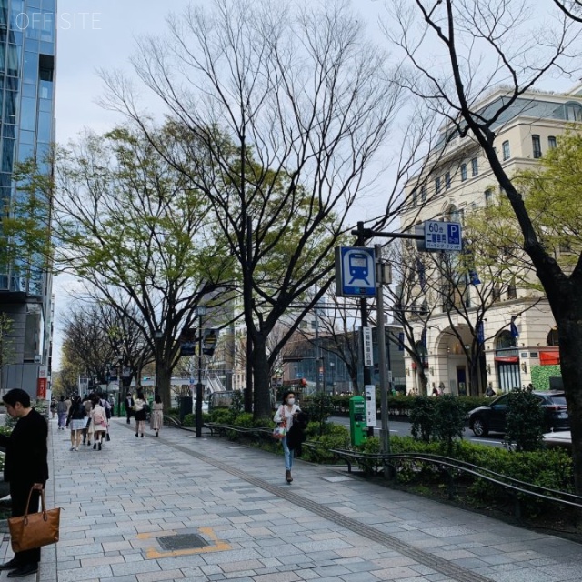 青山パラシオタワー(11階:サービスオフィス) ビル前面道路