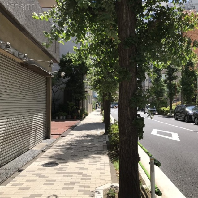 アソルティ新橋 ビル前面道路