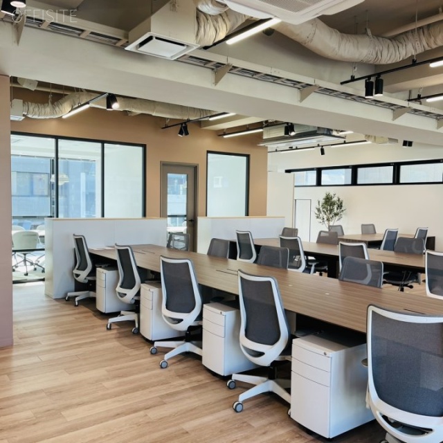 Expert Tamachi 内装