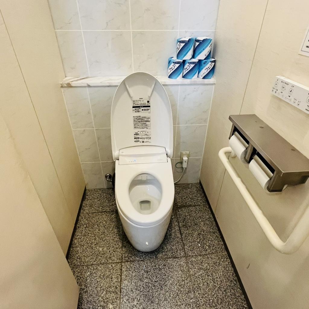 コンシェリア西新宿（ＴＯＷＥＲ’Ｓ ＷＥＳＴ）のトイレ