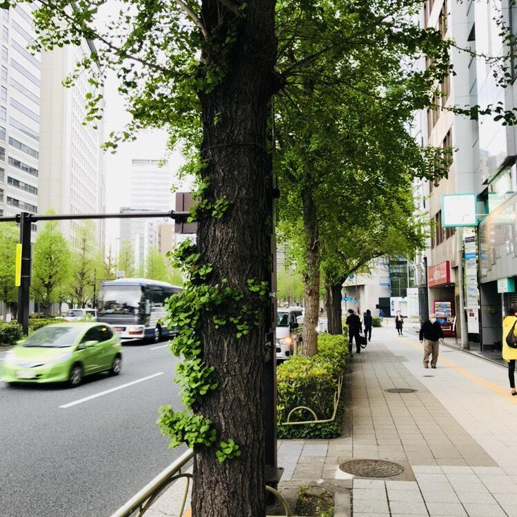 ＳＫＩ西新宿のビル前面道路