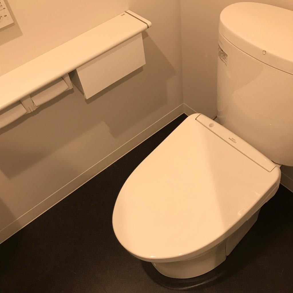ニュー千駄ヶ谷マンションの207号室 トイレ
