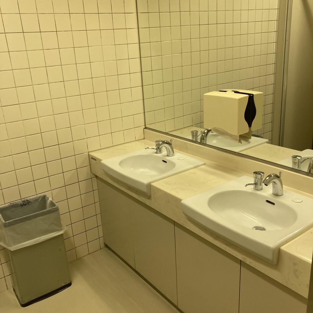 川辺新宿御苑前ビルの10階女子トイレ洗面台