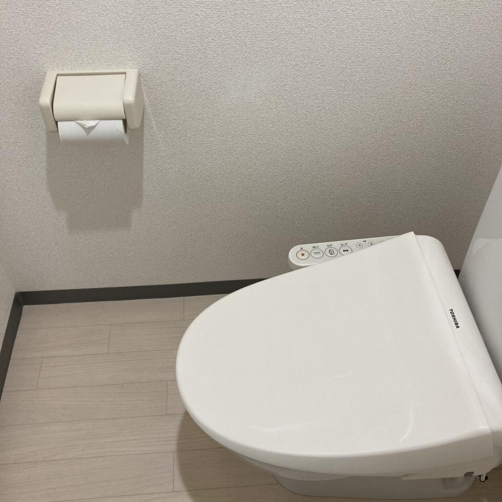 メゾン・ド・シャルーの301号室 トイレ