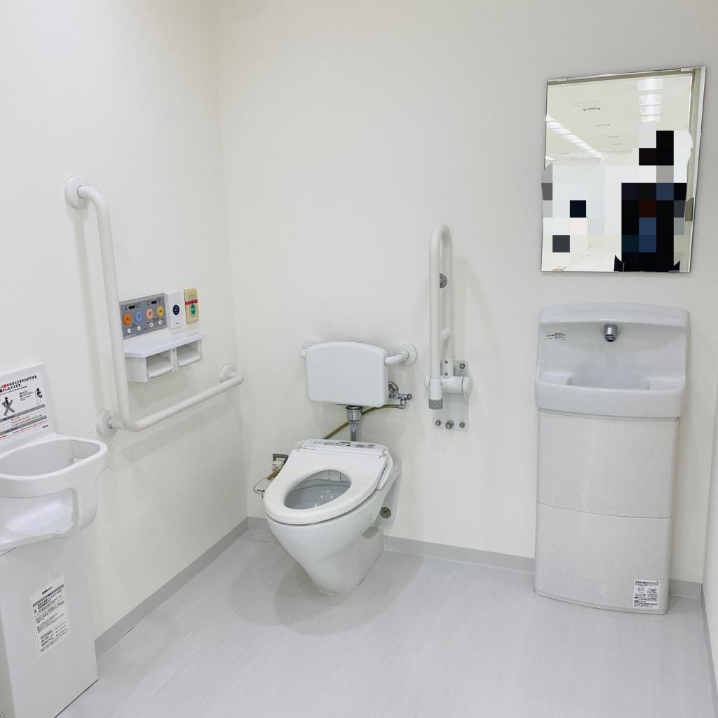 Ｄａｉｗａ西新宿ビルの1階 トイレ