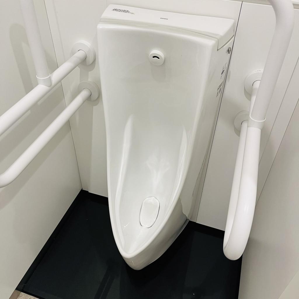 ＦＩＲＳＴＡ ＫＯＩＷＡ Ⅱのトイレ