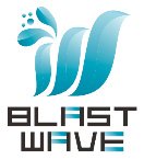 株式会社ブラストウェイヴ
